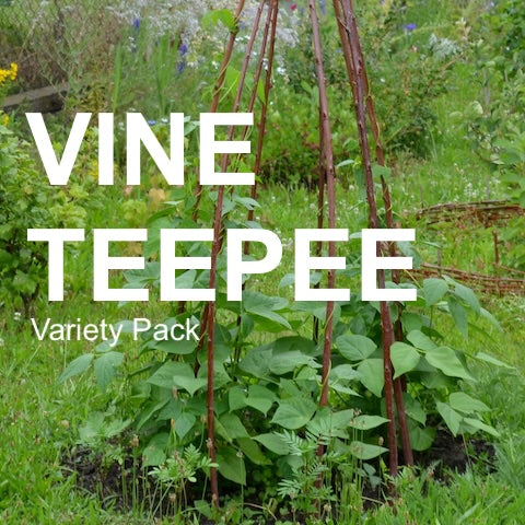Assorted vine teepees from SeedsNow-SeedBanks All-in-One Vine Teepee Variety Pack, featuring various plant support structures.