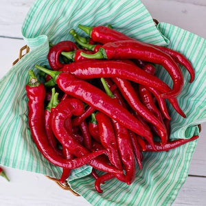 dry red chilli seeds for planting Red Cayenne Pepper Seeds
