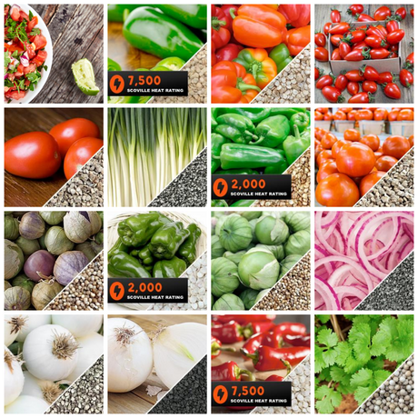 All-in-One Salsa Garden Variety Pack of Seeds from SeedsNow-SeedBanks, showing colorful seed packets for salsa garden gardening.