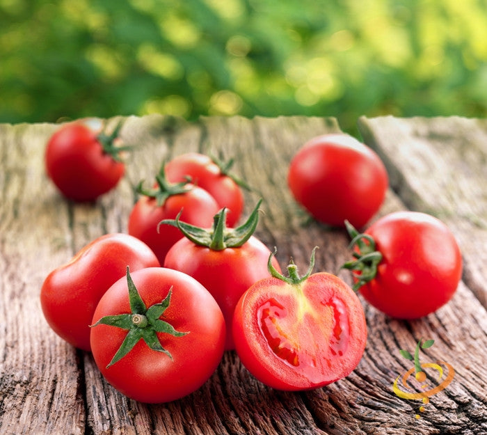 Ace 55 Tomato Seeds - Reliable, Low Acid, Medium-Sized Tomatoes