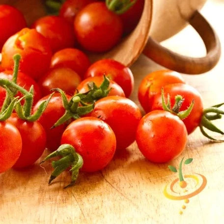 Tomato - Cherry, Red (Small) (Indeterminate) seeds – SeedsNow.com