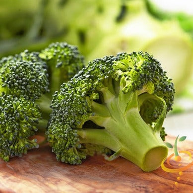 Broccoli - Waltham - SeedsNow.com