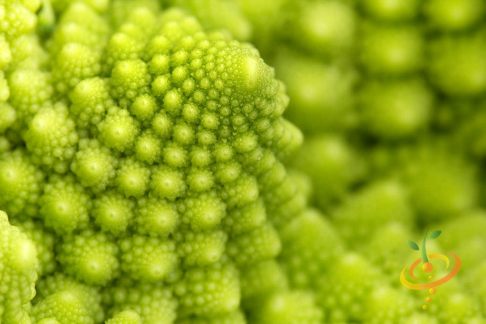 Romanesco Italia Broccoli seeds online in the USA! Italian