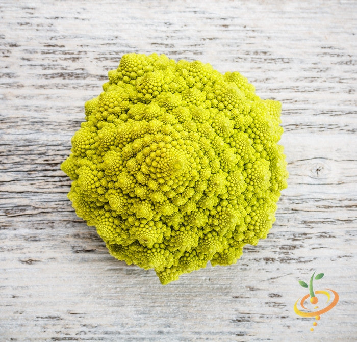 Romanesco Italia Broccoli seeds online in the USA! Italian