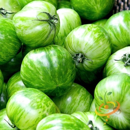 tomato plant seeds for sale Tomato