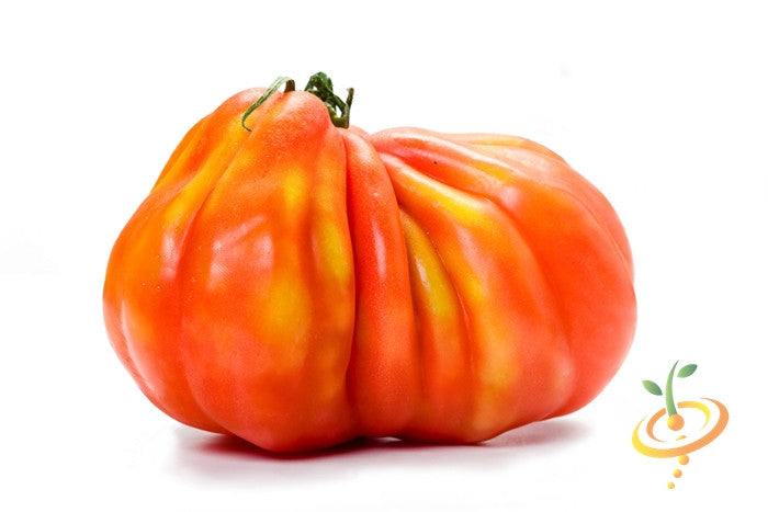SeedsNow Pineapple Tomato Seeds