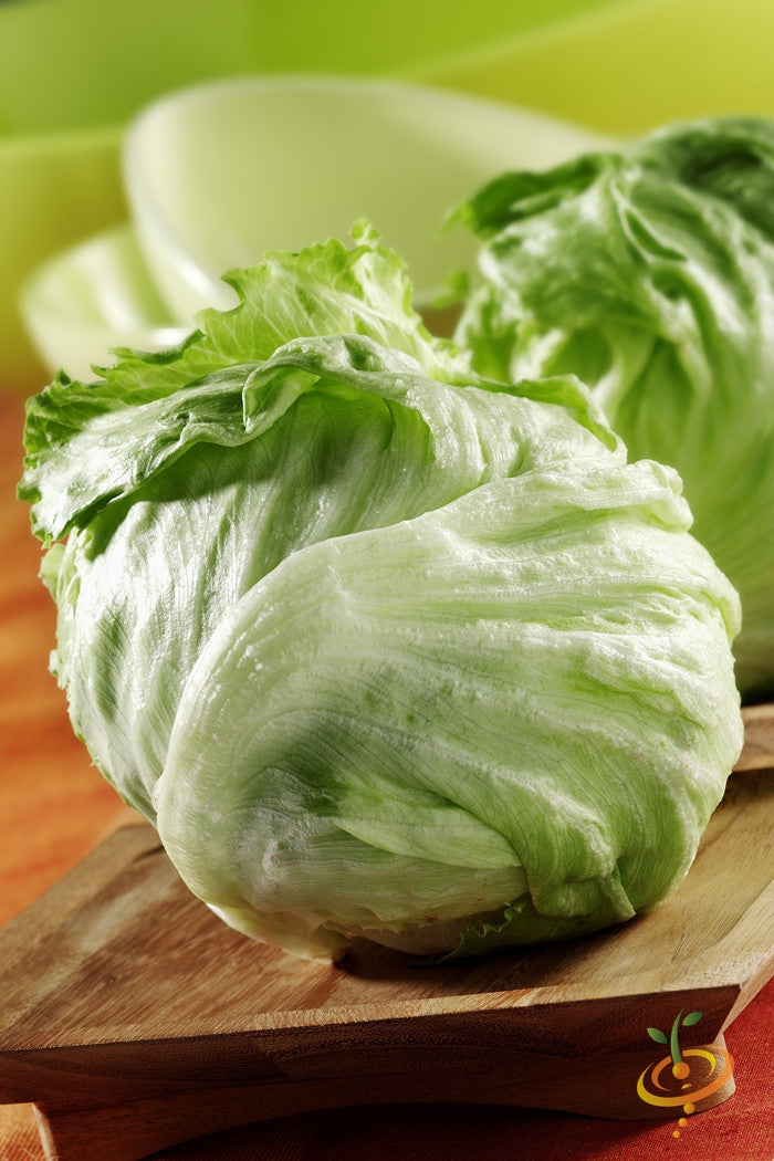 Lettuce - Iceberg seeds | Grow fresh Iceberg lettuce at home