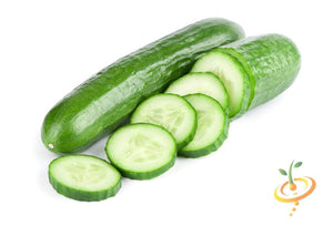 Ashley Garden Cucumber Seeds - Non-GMO Heirloom Vegetable Seeds For Home Garden
