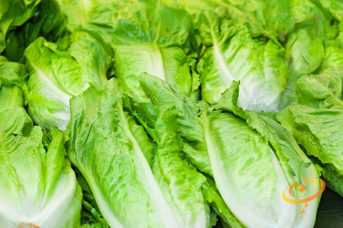 Michihili Cabbage Seeds - Rare Chinese Variety for Home Gardening