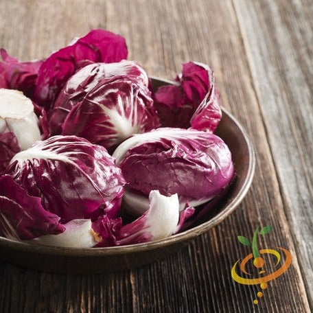 radicchio la rosa del veneto seeds Radicchio