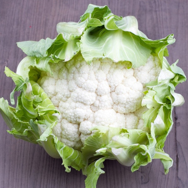 Cauliflower - Igloo