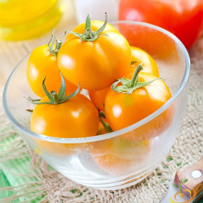 Tomato - Jubilee (Indeterminate) - SeedsNow.com