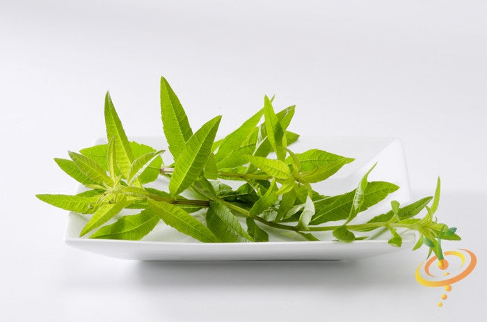 Mint - Lemon seeds – SeedsNow.com