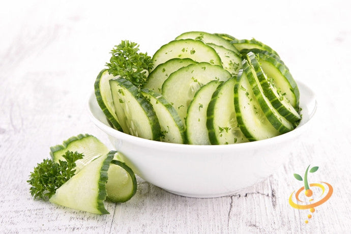 Everbearing cucumber seeds from SeedsNow shown in a close-up image, ready for planting in a garden or greenhouse.