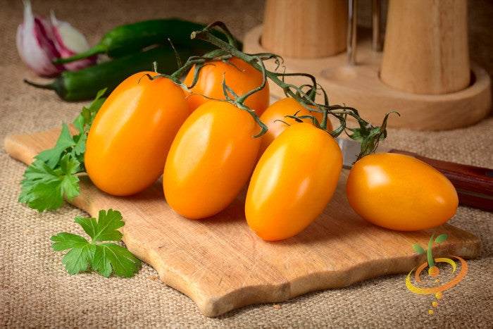 Buy Yellow Pear tomato seeds online in the USA | Container