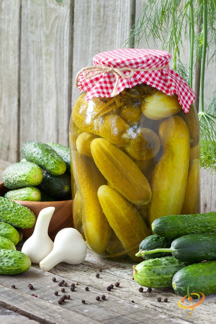 Cucumber - Homemade Pickles.