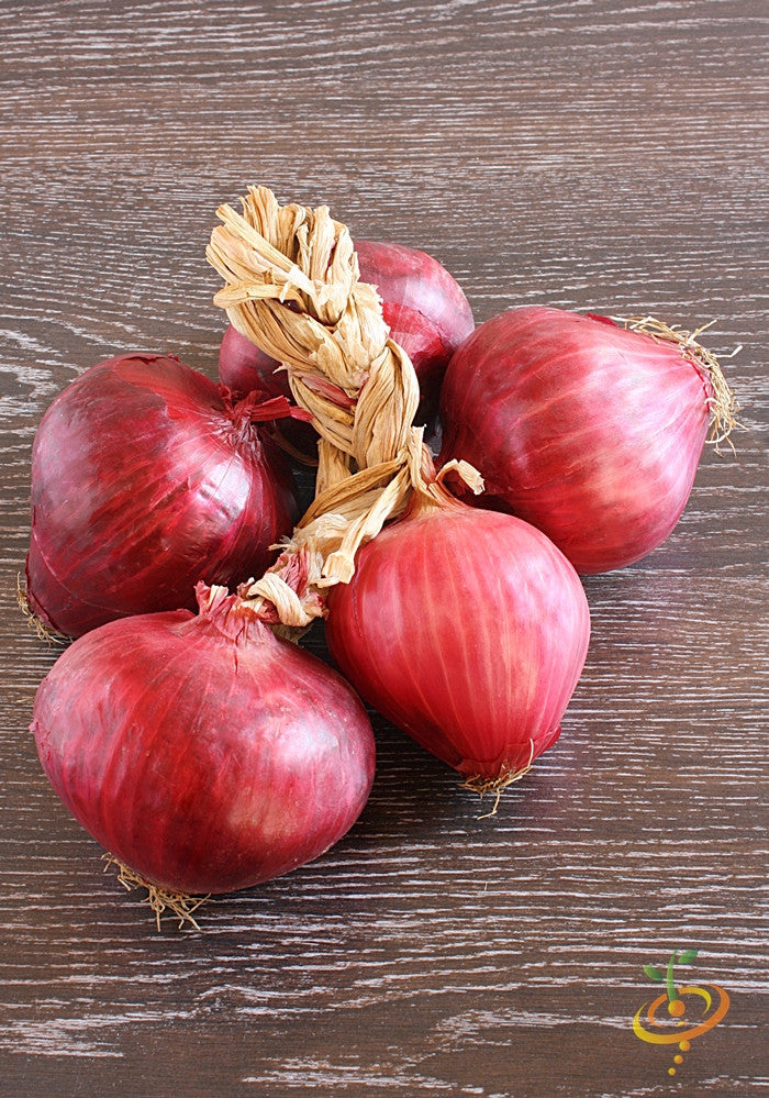 Onion - Red Burgundy (Short Day) seeds | SeedsNow.com