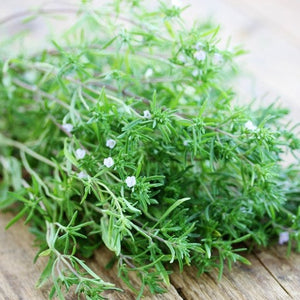 summer plants seeds Summer Savory seeds – SeedsNow.com