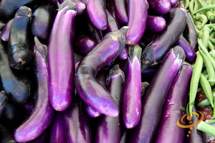 eggplantページ True Leaf Market | True Leaf Market Seed Company