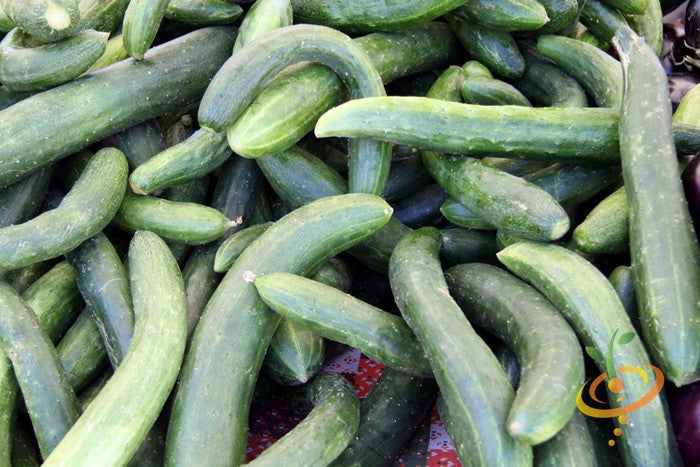 Buy Chinese Snake Cucumber seeds online in USA! Long Curved