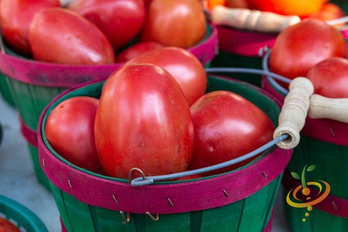 Buy Roma tomato seeds online in the USA | Sweet & tangy heirloom