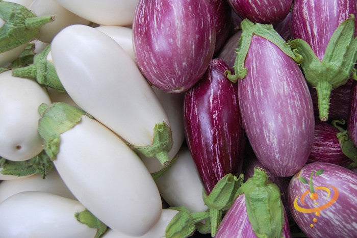 Eggplant - Casper.