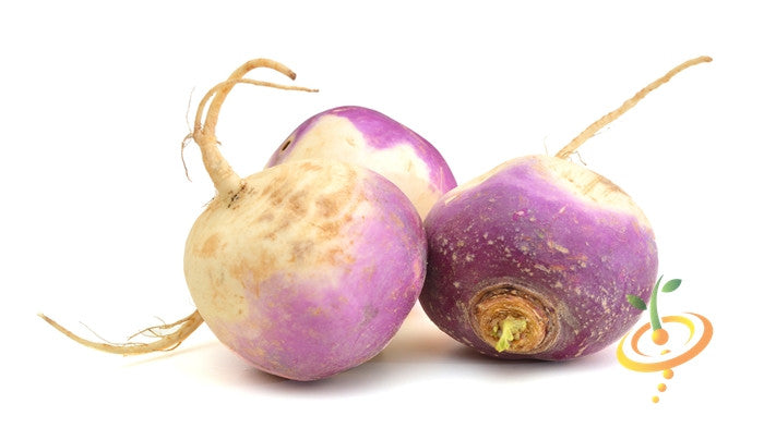 Turnip - Purple Top White Globe.