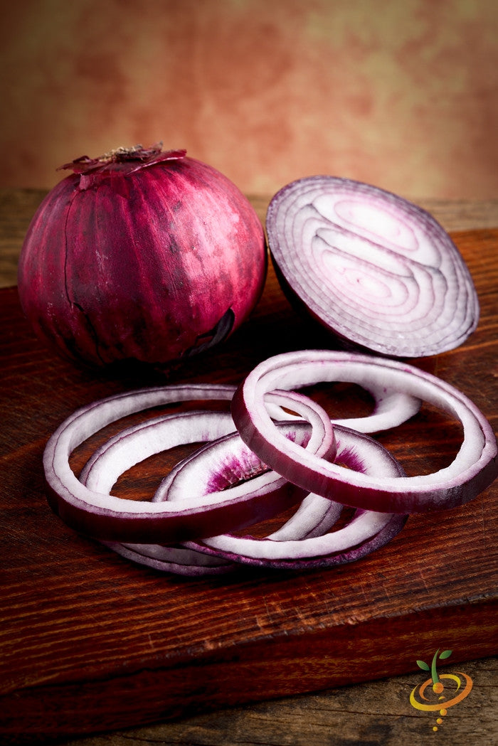 Onion - Red Burgundy (Short Day) seeds | SeedsNow.com