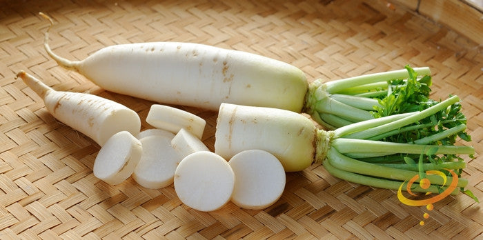 Radish - Japanese Minowase/Daikon 