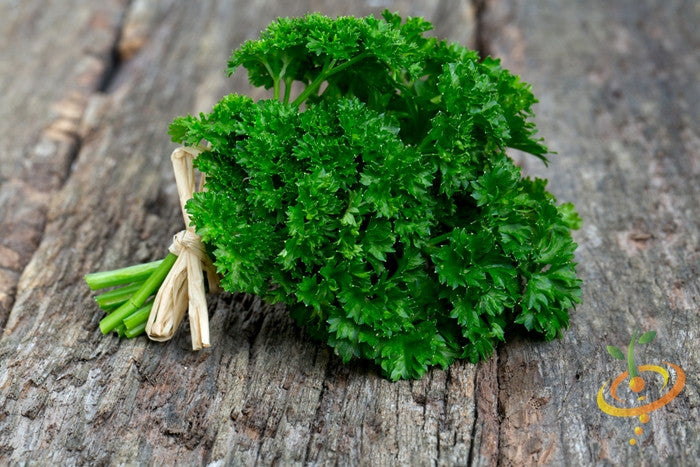 Curled parsley