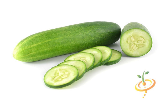 Everbearing cucumber seeds from SeedsNow, showing fresh green cucumber seedlings growing in soil.