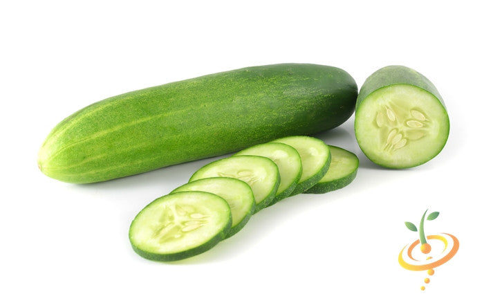 Cucumber - Everbearing.