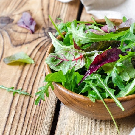 lettuce seeds or plants Lettuce
