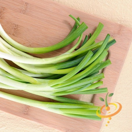 plant green onion seeds Onion - Evergreen Seeds