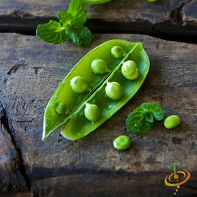 Sugar snap pea seeds from SeedsNow, close-up of fresh green pea pods and seeds ready for planting or harvesting.