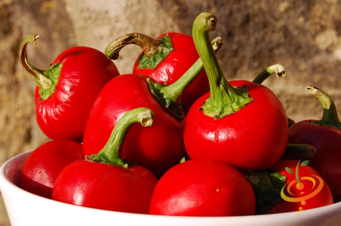 Pepper - Red Hot Cherry.