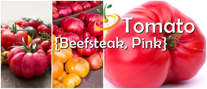 Where to Buy Tomato - Beefsteak, Pink (Indeterminate) seeds 