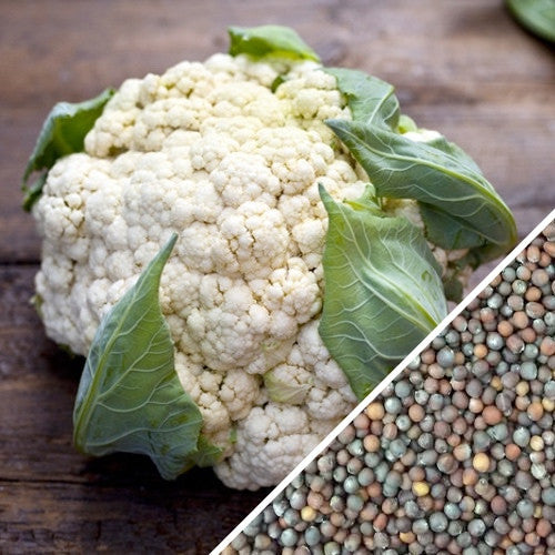 cauliflower plant seeds Cauliflower - All Year Round Seeds