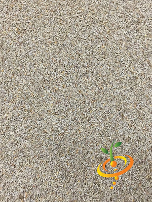 chamomile seeds from flower Chamomile, German Flower seeds – SeedsNow.com