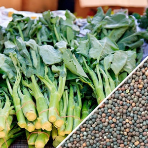 plant collard green seeds Collard