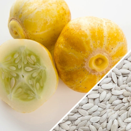 Cucumber - Lemon seeds – SeedsNow.com