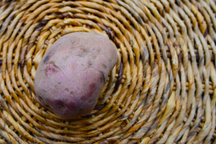 Potato (Mid-Season) - Dark Red Norland (ORGANIC)