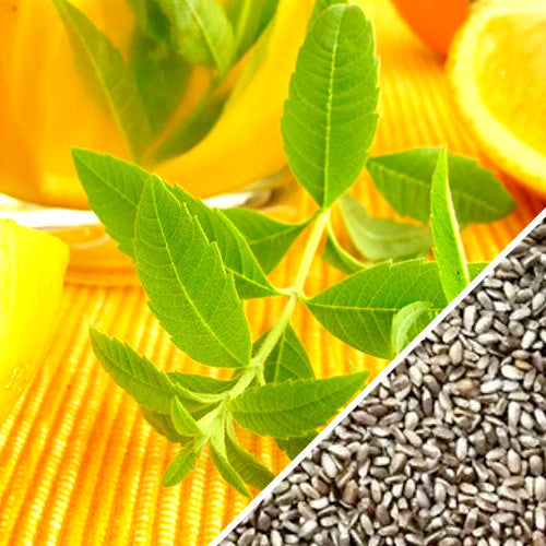 Mint - Lemon seeds – SeedsNow.com