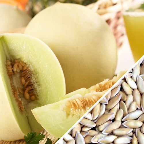 plant honeydew seeds Melon (Honeydew)
