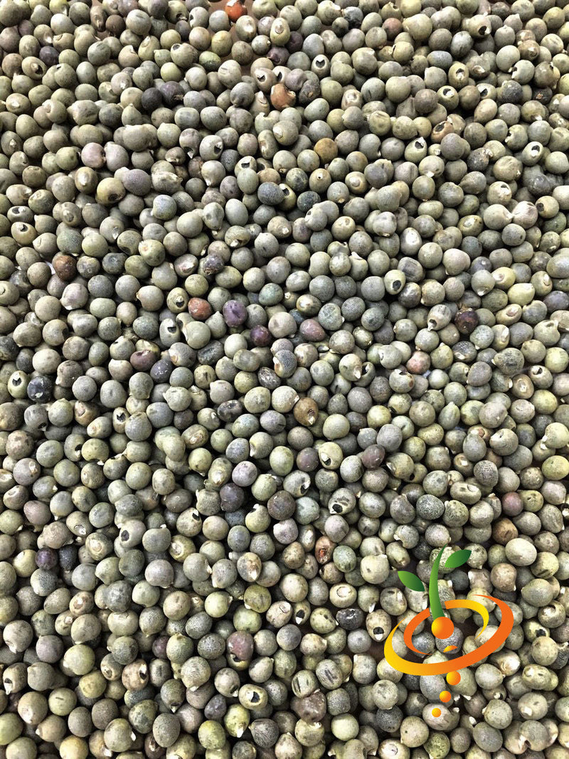 Close-up of Okra Clemson Spineless seeds piled together