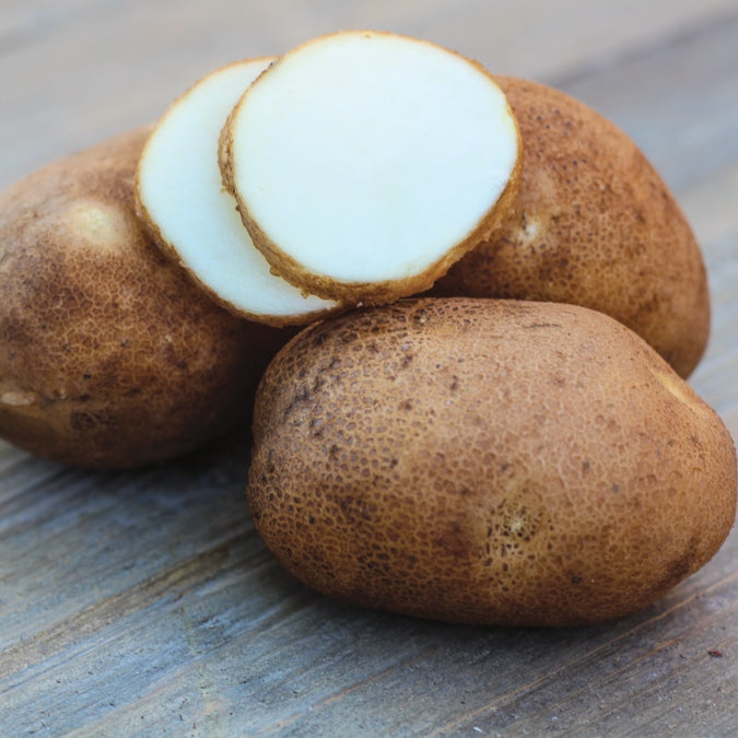 Seed potatoes available through Seeds Now affiliate link