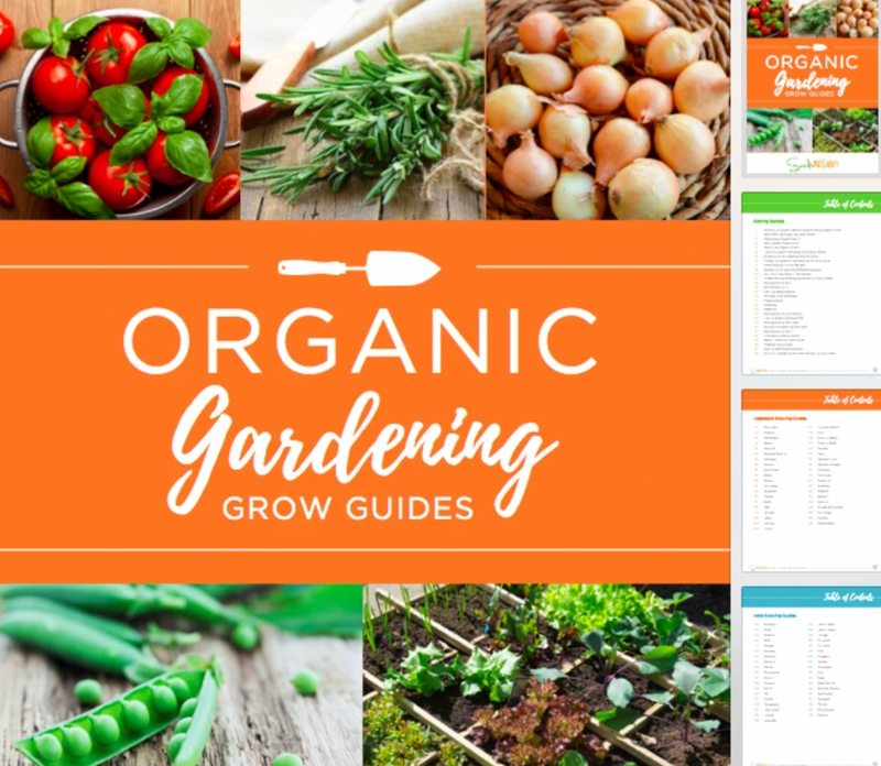 Shop *FREE* ORGANIC GARDENING GROW GUIDES eBOOK NOW! Buy organic nongmo heirloom seeds 🌱