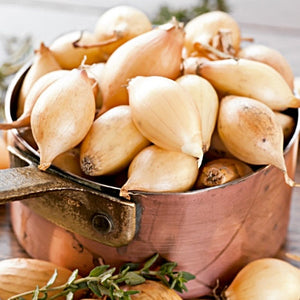 plant shallot seeds Shallot (sets)