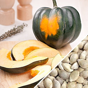 acorn squash seeds for planting Squash (Winter)