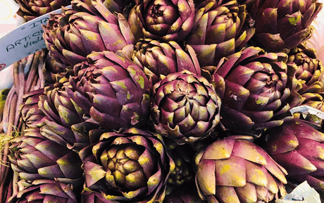 Violet Star artichoke seeds from SeedsNow, showing a close-up of vibrant green and purple artichoke seed packets.